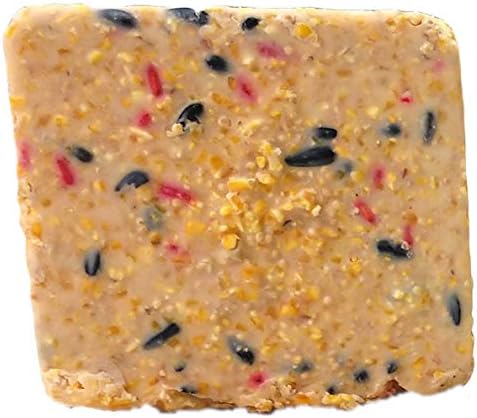 Suet Cake Variety Packs | 10 Berry Suet Cakes for Wild Birds 11 Oz. Each | (Berry, 10 Pack)
