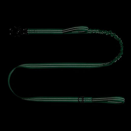 ICEFANG Tactical Dog Leash,K9 Training Walking Bungee Lead with 2 Control Handle,Heavy Duty Quick Release Metal Clasp,for Medium Large Breed (Teal, 6 FT)