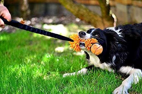Dingo Dog tug of war toy for outdoor play traning agility,cuddly and shaggy plush tug toy for motivation and fun,soft nubby-textured noodle plush with bungee shock absorber and rubber ball orange15586