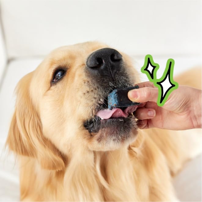 Spot & Tango PupGum Dog Dental Chews for Fresh Breath & Teeth Cleaning – Clinically Proven Plaque & Tartar Control – Human-Grade, Vet-Developed Daily Dental Care Treats for Dogs 41+ lbs – Made in USA
