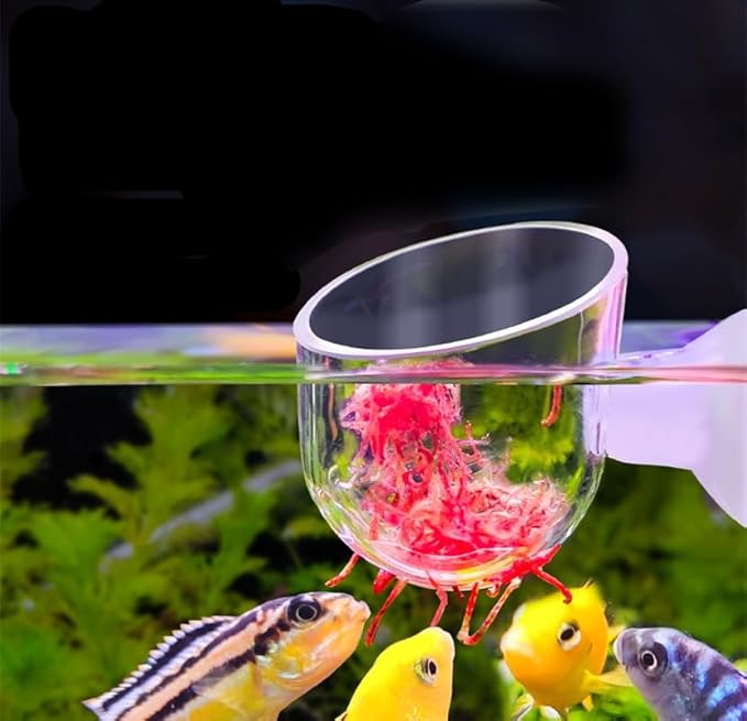 1Pc Oval Aquarium Plant Holder Cup - Crystal Glass Aquatic Plant Pot, Aquarium Aquatic Planter | Red Shrimp Live Plants Fish Tank Glass Holder