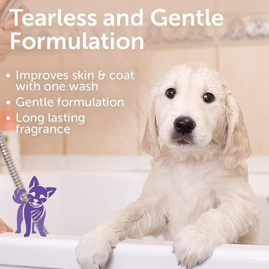 Nootie - Pet Shampoo for Sensitive Skin - Revitalizes Dry Skin & Coat - Natural Ingredients - Gentle Dog Shampoo - Cleans & Conditions 16 oz