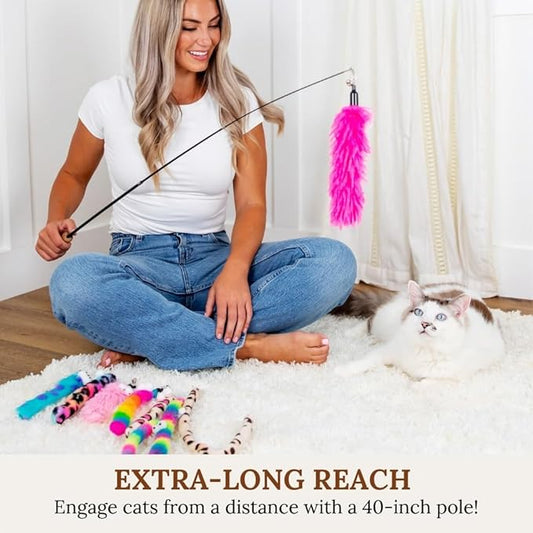 Cat Toys Set Cat Toy Wand Fishing Pole Retractable Teaser & Fuzzy Worm Interactive Kitten Toys Wand Attachments