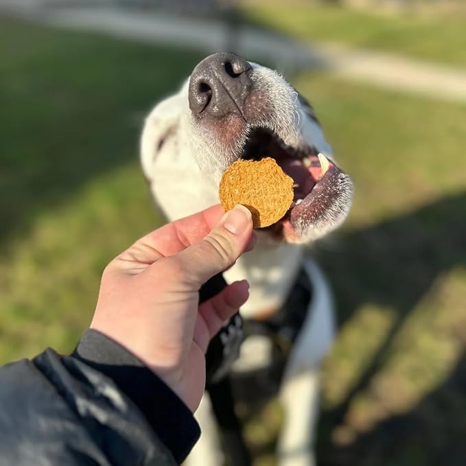 Farm To Pet - Dog Training Treats - 4 oz Fish Chips, Single Ingredient, Lean, All Natural, Healthy Treats for Small, Medium, Large Dog Breeds, & Puppies, Made in USA