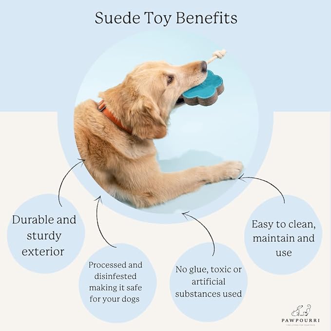 Triangle Shape Natural Suede Leather Chew Toy for Medium to Large Dogs, Leather Dog Toys (Pack of 2)