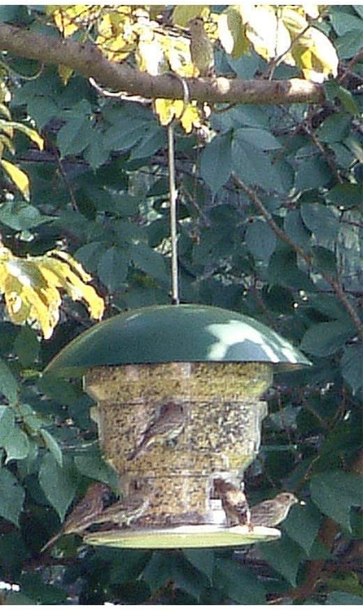 Wild Bill's Non-Electric Feeding Frenzy Bird Feeder