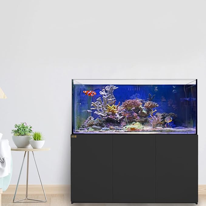 Coral Reef Aquarium Tank | 185 Gallon Ultra Clear Glass with Sump, Black