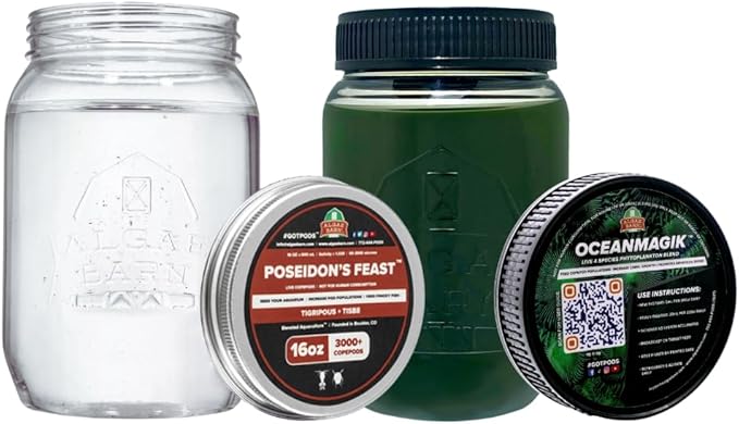 Live Copepods & Phytoplankton Combo Pack Tisbe & Tigriopus Pods + Live Phytoplankon (16oz)