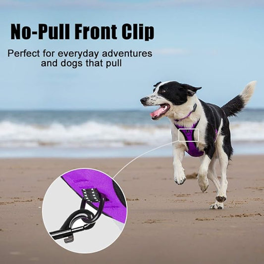 PoyPet No Pull Dog Harness, Reflective Comfortable Vest Harness with Front & Back 2 Leash Attachments and Easy Control Handle Adjustable Soft Padded Pet Vest for Small to Large Dogs (Purple,L)