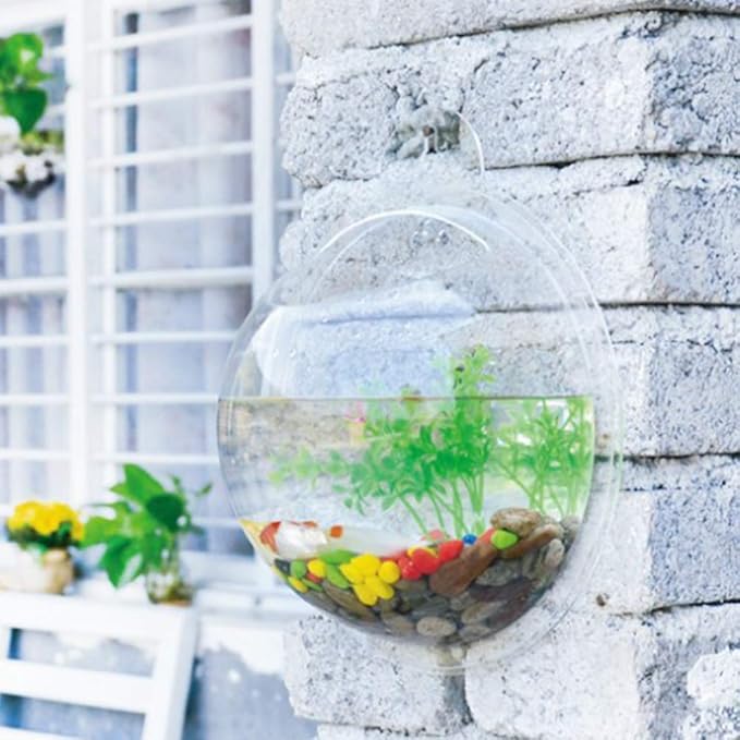 Wall Mounted Acrylic Fish Bowl, Hanging Flower Pot Vase Decoration, Clear Fish Tank Bubble Aquarium Plant Wall Decor, 7 inch