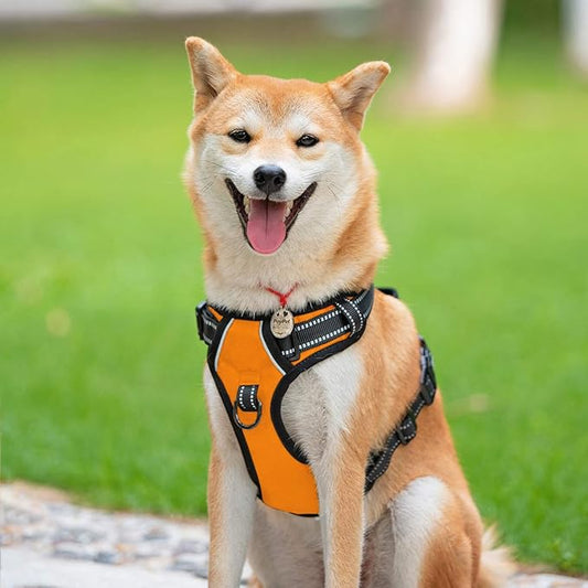 PoyPet No Pull Dog Harness, Reflective Comfortable Vest Harness with Front & Back 2 Leash Attachments and Easy Control Handle Adjustable Soft Padded Pet Vest for Small to Large Dogs (Orange,XL)