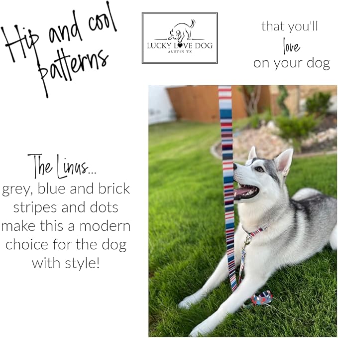 Lucky Love Dog - Adjustable Dog Collar and Leash Set with Easy Click Buckle for Small to Large Dogs, Durable, & Comfortable Collar for Male & Female Dogs, Puppies & Adult Ones - Linus Combo, Medium