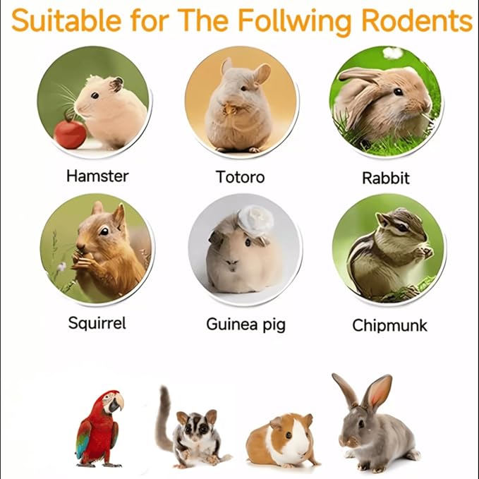 Sugar Glider Treats-11oz Dried Fruit-Vegetable Mix,Rabbit Food, Parrots, Sugar Gliders,Chinchillas, Marmosets, Iguanas,Lizards, Bearded Dragons,Skunks,Birds, Small Herbivores.