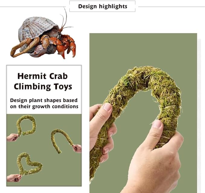 Hermit Crab Accessories, Natural Adjustable Hermit Crab Climbing Toys Bendable Bridge, Coconut Shell Hideout Hut, Plants for Reptiles & Amphibians Supplies(B-Group-9PCS)