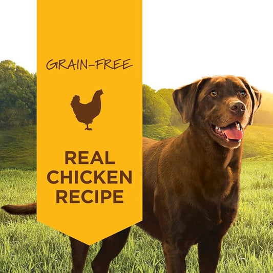 Instinct Original Wet Dog Food, Grain Free Recipe - Real Chicken, 13.2 oz. Cans (Pack of 6)