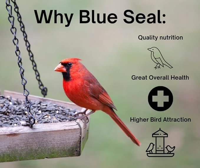 Blue Seal Premium Finch Mix Wild Bird Seed - Specialty Blend to Attract Finches - 8lb Bag