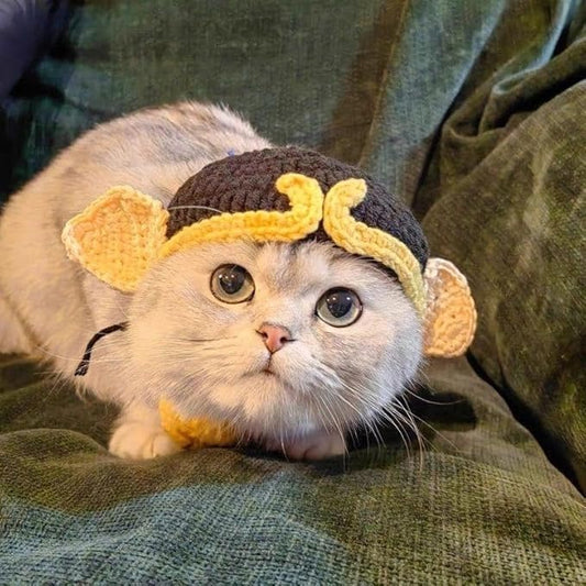 Pet Head Adorable Cat & Dog Knit Beanie - Cute & Soft Headwear for Halloween (Medium, 17 lbs & Under)