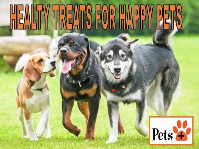 Pets Plus Premium Dog Treats β Chicken Jerky, 6 oz | All-Natural, High-Protein Dog Chews, Grain-Free Healthy Treats for Training, Rewards & Dental Support