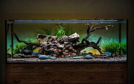 CURRENT USA 72" Satellite Color RGBW Full-Spectrum LED Aquarium Light - Freshwater, Wireless 24-Hour Timer, Adjustable Tank Mounts (4514)