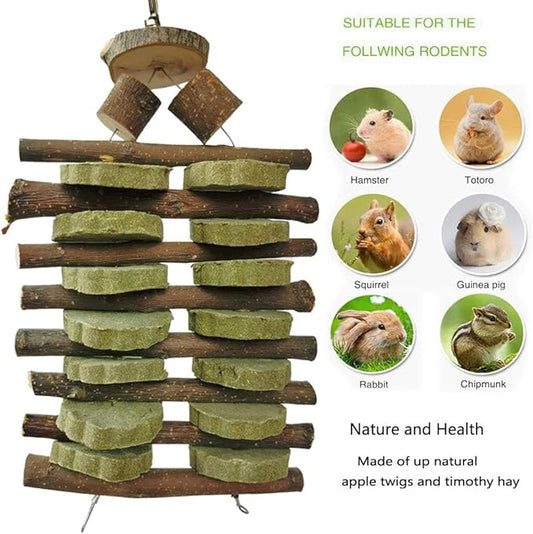 Bunny Chew Toys for Teeth Organic Fruitwood Sticks for Bunny Rabbits Chinchilla Guinea Pigs Hamsters Parrots and Other Small Animals Chewing and Playing Pet Snacks Toys with Grass Cake