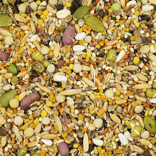 Feather Shine High Potency Blend with Bee Pollen & Freeze-Dried Sprouts - Premium Parrot Food for Molting, Breeding & Growth - Omega Rich | 17.5% Plant Protein | USA-Made