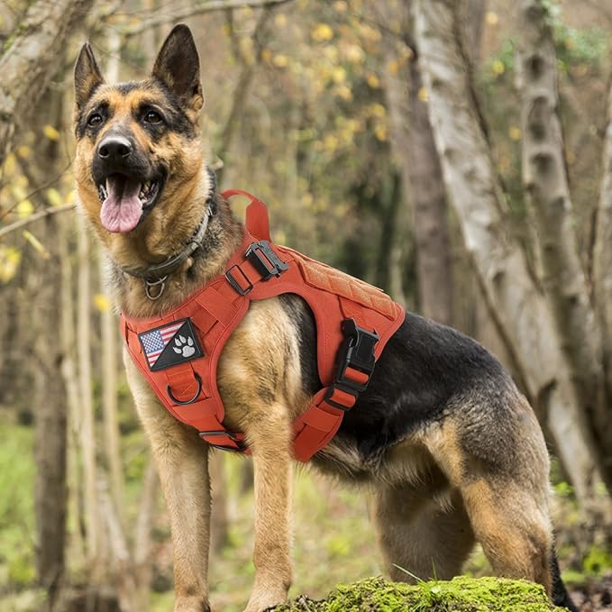 rabbitgoo Tactical Dog Harness for Small, Heavy Duty Pet Harness with Handle, No-Pull Service Vest Small Breed, Adjustable Military Dog Vest for Training Hunting Walking, Orange, S