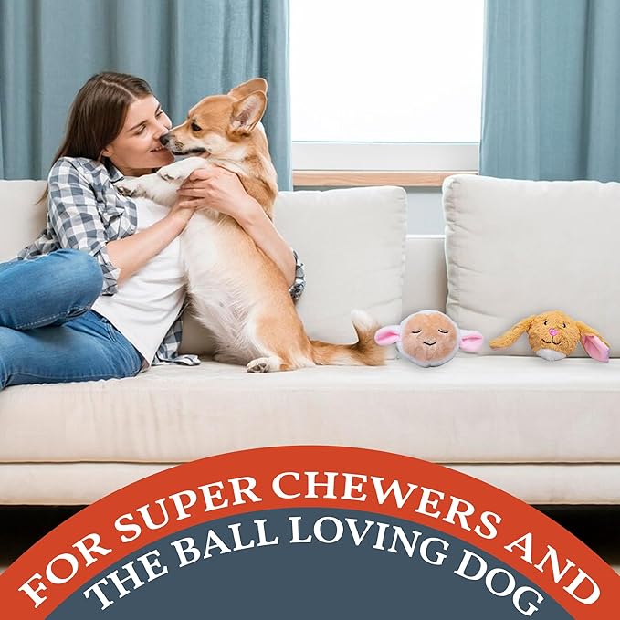 Flourish Pets 2 in 1 Multi-Layer Chew Toy for Active Dogs | Non-Toxic BPA Free Double Stitched Soft Fabric Exterior Dog Toys | Long-Lasting Dog Plush Toys โ Easter 3.5" (2 Pack)