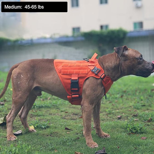 ICEFANG Tactical Dog Harness, Medium Size,2X Metal Buckle,Working Dog MOLLE Vest with Handle,No Pulling Front Leash Clip,Hook and Loop Panel (Orange,M (Pack of 1))