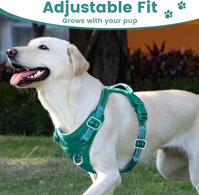 No Pull Dog Harness, Reflective Puppy Vest for Small Medium Large Sized Dog(MARRS Green,XS)