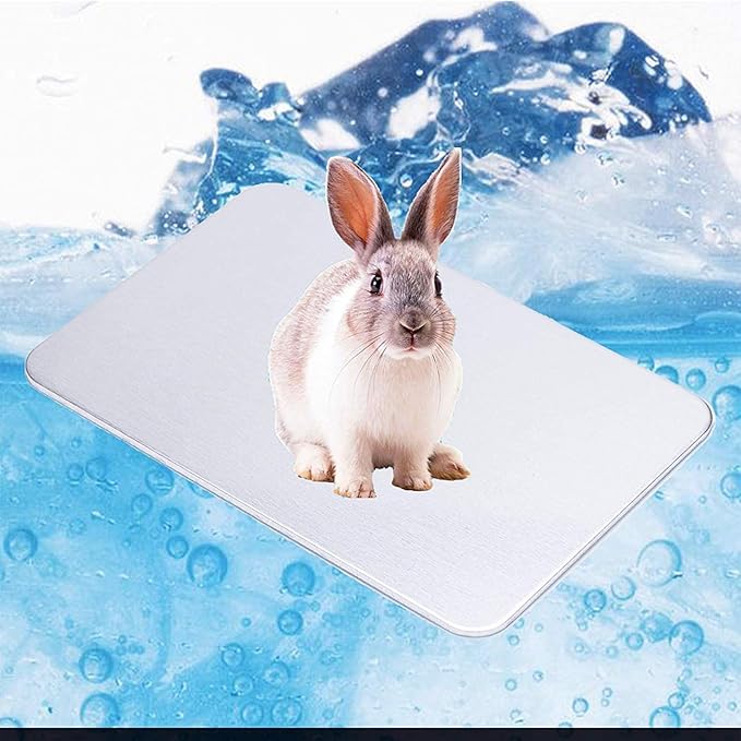Rabbit Cooling Pad, 12x8 in Self Cooling Mat for Hamster Guinea Pig Chinchilla Bunny Kitten Cat and Other Small Animal, Pet Cool Ice Bed Plate Perfect for Hot Summer