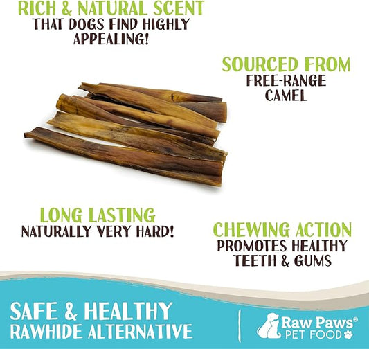 Raw Paws Camel Skin Chews for Dogs, 10-inch (10-Count) - Rawhide Free Dog Chew Long Lasting - Support Dog Anxiety Relief - Bully Stick Alternative