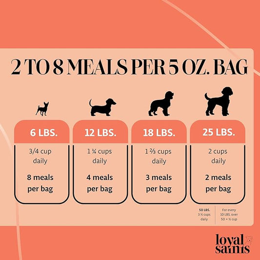 Freeze Dried Raw Dog Food - Premium Turkey and Salmon Flavor with High Protein and Grain Free Dog Food for All Breeds and Picky Eaters - Versatile as Meal Topper, Snack, and Treats, 5 Oz