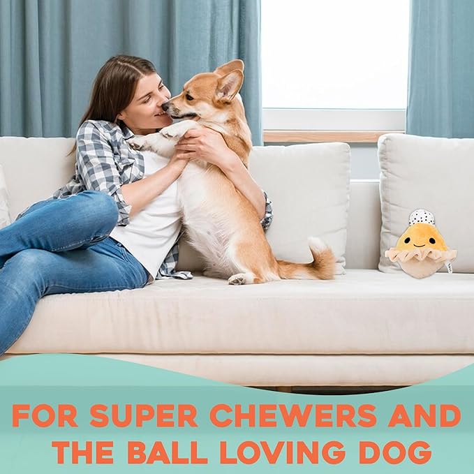 Flourish Pets 2 in 1 Multi-Layer Chew Toy for Active Dogs | Non-Toxic BPA Free Double Stitched Soft Fabric Exterior Dog Toys | Long-Lasting Dog Plush Toys โ Pumpkin Pie