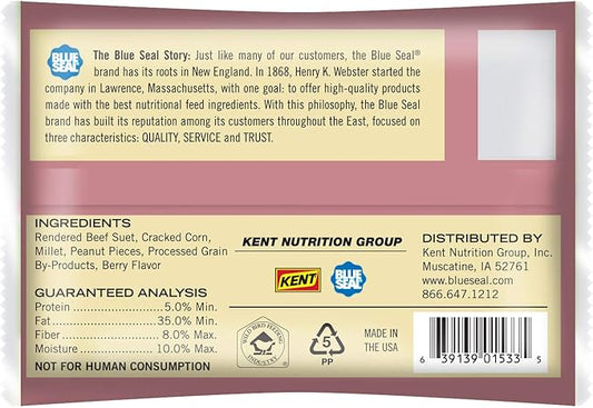 Blue Seal Nuts & Berry Suet Cakes for Wild Birds - No Mess Suet Feed, Food for Woodpeckers, Cardinals, Siskins, Sparrows & More - 11oz Suet Feeder, Bird Seed Cakes (Pack of 12)