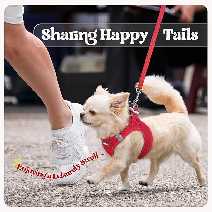 rabbitgoo Dog Harness Small Sized and Leash Set, Step in Soft Light Puppy Vest, Breathable Mesh Pet Harness, Reflective for Outdoor Safe Walking, Red XXL