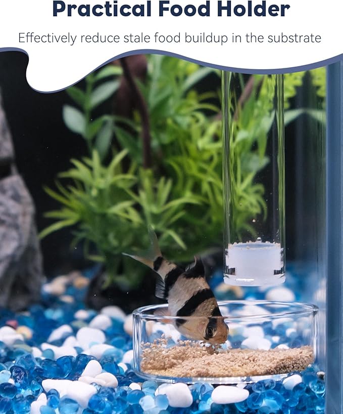 Pawfly 8 Inches Aquarium Fish Feeding Dish Set Clear Glass Fish Feeding Tube Shrimp Tube with 2 Feeding Dishes Fish Tank Feeding Supplies with 2 Suction Cups