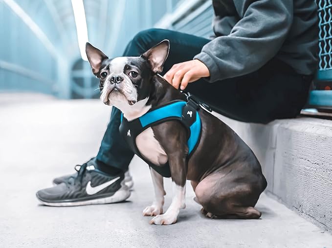 Gooby Turquoise X-Small Easy Fit Harness - No Pull Patented Design for Small Dogs with Quick Release Buckle