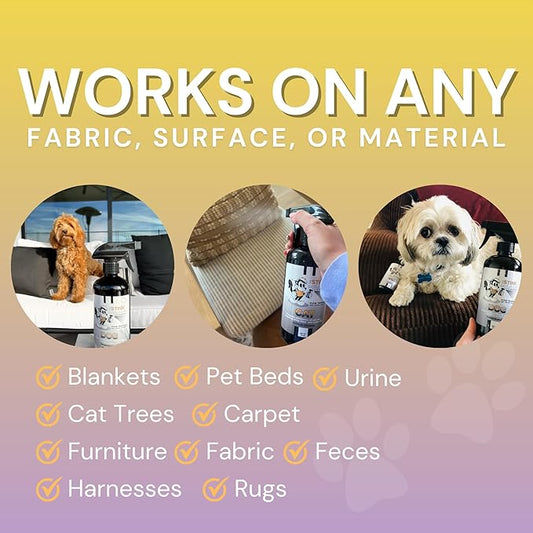 The Stink Solution Dog Odor Eliminator For Home, Furniture, Carpet, & More | Quick and Complete Feces, Vomit, Must, & Pet Urine Remover | Dog Products - 1 16 oz Bottle (Pomegranate)
