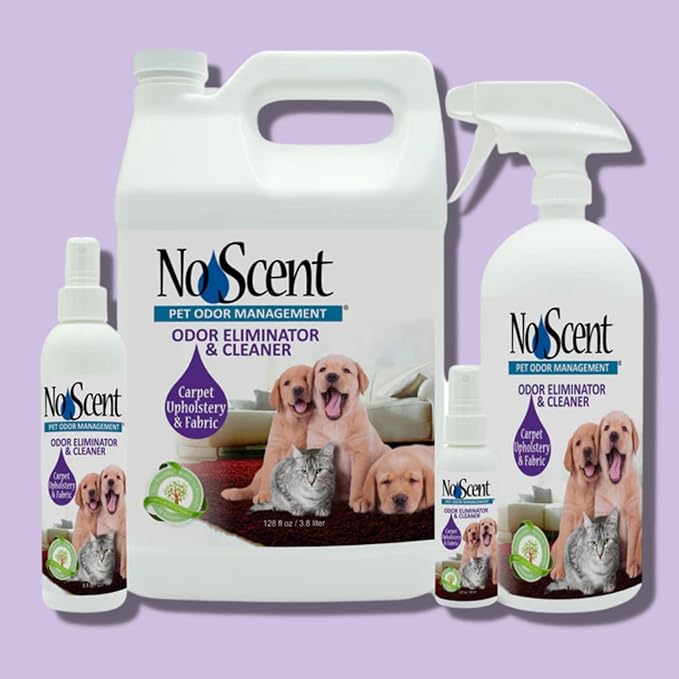 No Scent Carpet Upholstery & Fabric Furniture Spray Spot Cleaner for Wet Dog Smell, Cat Spray, Pet Odor, Urine, Poop & Secretions (32 Fl Oz / 946 mL)