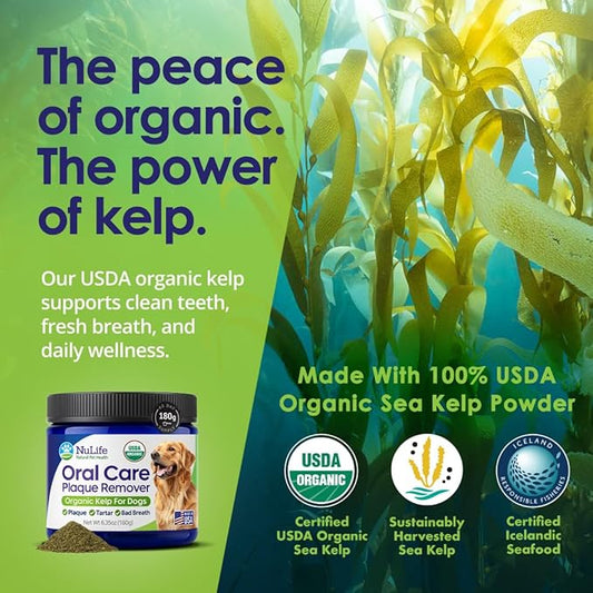 Dog Teeth Cleaning Powder, Dog Plaque and Tartar Remover, Bad Breath Treatment for Dogs with USDA Organic Sea Kelp Powder, Dog Dental Care Made Easy, for All Ages, 6oz