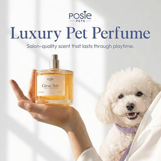 Dog Perfume Spray Long Lasting 4-8 Hours - Water-Based, Vegan Cologne - Luxury, Alcohol-Free Grooming Deodorizer for Dogs with Orange Blossom, Lavender, Vanilla - Citrus Tale, 100ml