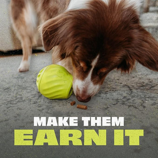 Benebone Pawbler - Natural Rubber Interactive Enrichment Treat and Kibble Dispensing Dog Toy – Great for Boredom - Medium/Large