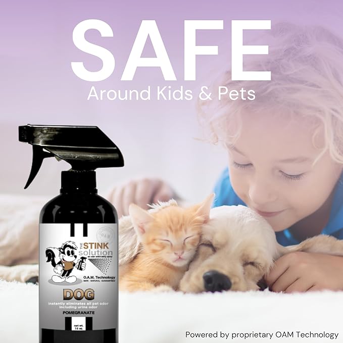 The Stink Solution Dog Odor Eliminator For Home, Furniture, Carpet, & More | Quick and Complete Feces, Vomit, Must, & Pet Urine Remover | Dog Products - 2 16 oz Bottles (Pomegranate)