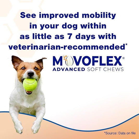 Advanced Soft Chews Hip and Joint Support Supplement for Small Dogs 60 Count by Virbac