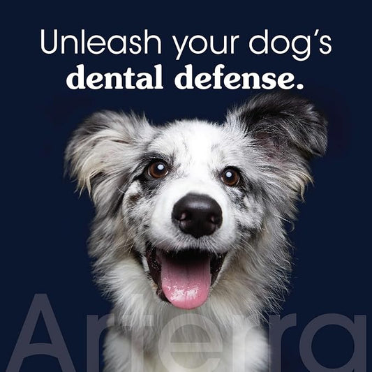 Remineralizing Dog Toothpaste – Vet-Grade, with Nano-Hydroxyapatite, Reverses Early-Stage Decay, Cleans Teeth, Reduces Tartar, Freshens Breath by Arterra Pet Science, Plant-Based, Natural Flavor, 3oz