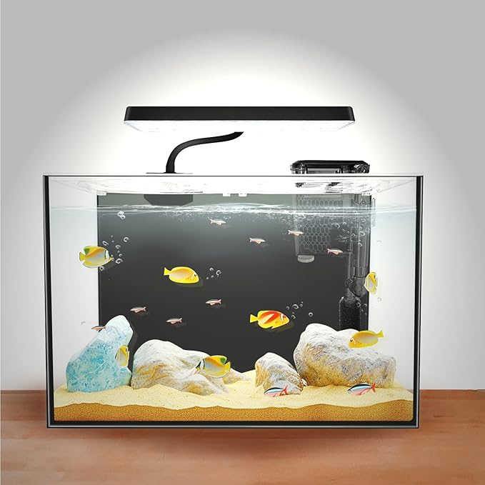 3 Gallon 12.6” L Fish Nano Glass Aquarium, with Separator Plate for Betta, Multi-Functional Square Fish Tank with Filter, LED Light, Black 4mm Glass