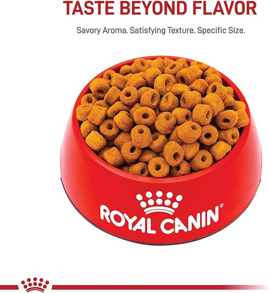 Royal Canin Breed Health Nutrition Labrador Retriever 5+ Mature Dry Dog Food, 28 lb Bag