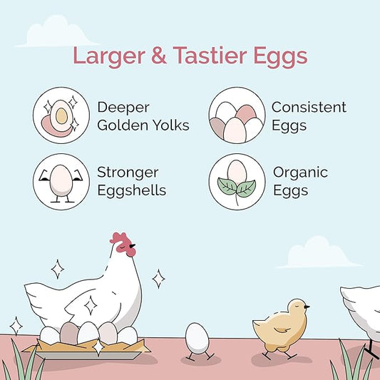 Organic Chicken Feed – Layer Whole Grain, Non-GMO, USA Grown, 16% Protein, Corn-Free, Soy-Free, Non-Medicated Feed for Chickens, 46 lbs