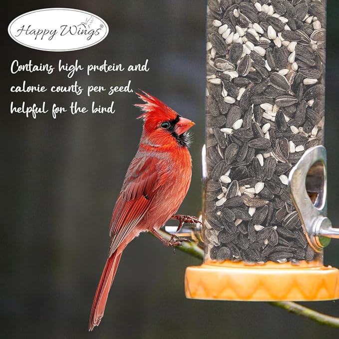 Cardinal Blend Bird Food, Mix of Sunflower and Safflower Seed, 5 Pounds | No Grow Seed | Bird Food for Wild Birds