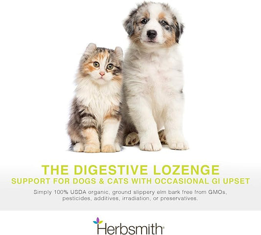 Herbsmith Organic Slippery Elm - Digestive Aid for Dogs and Cats - Constipation and Diarrhea Relief for Dogs and Cats - Megaesophagus Dog Aid - 450g